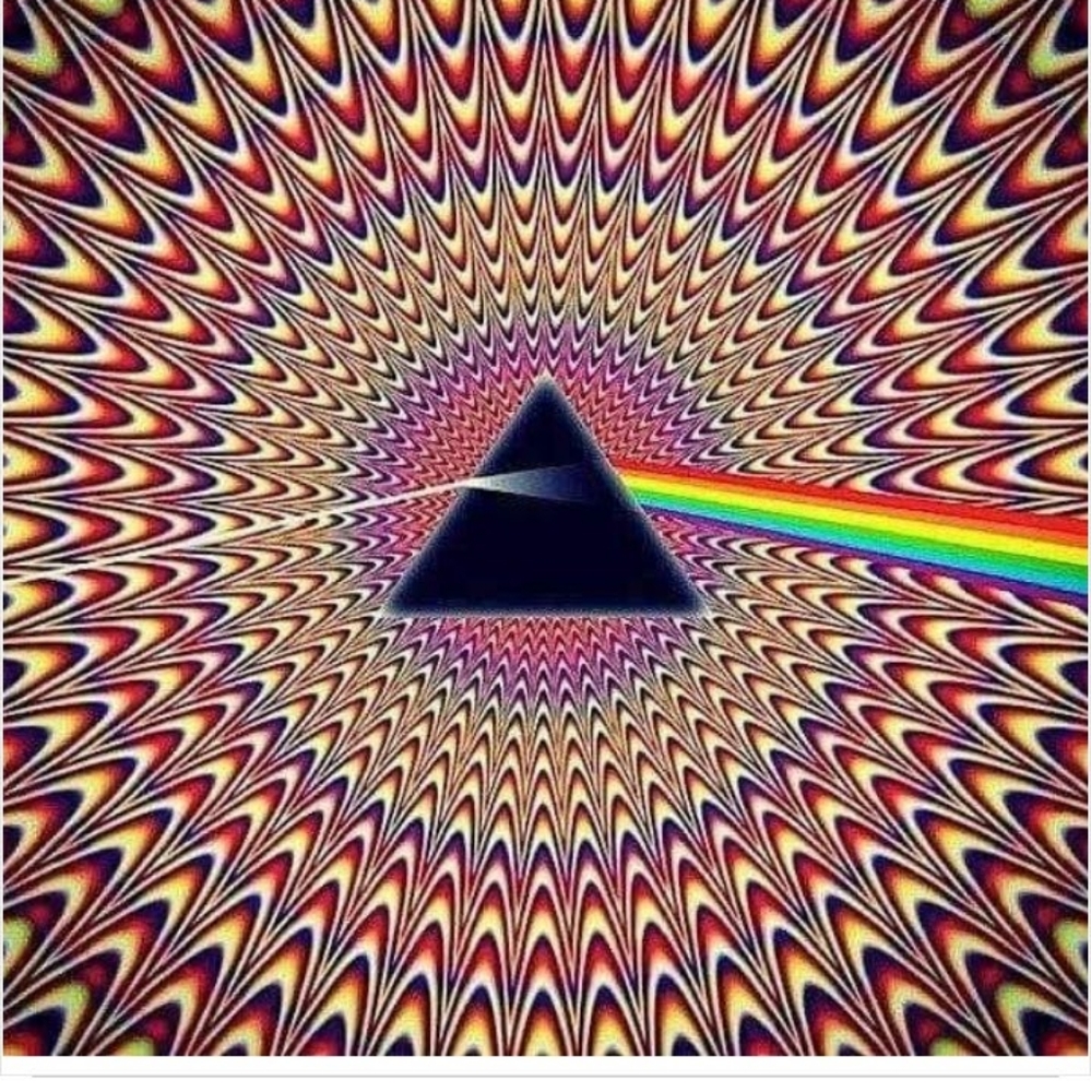 Meet your Posher, Michael d